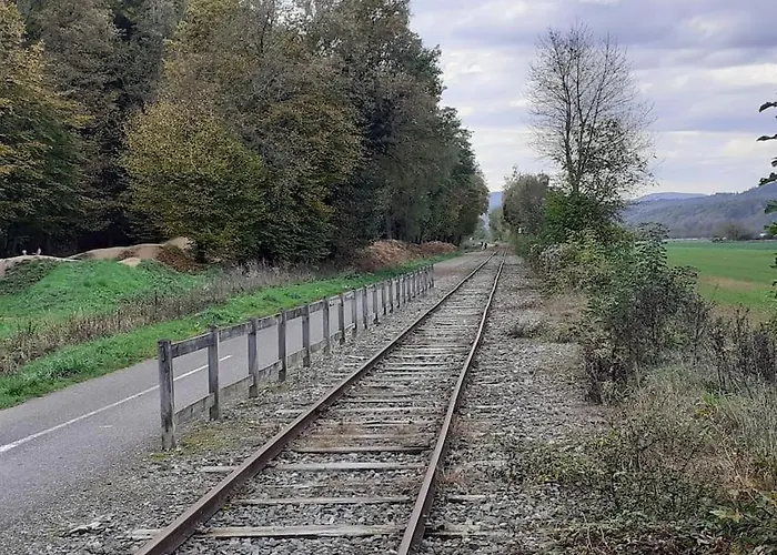 A L'oree Du Bois 