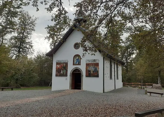 A L'oree Du Bois 
